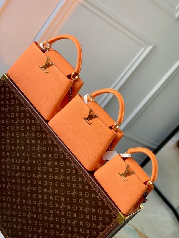 Sac Louis Vuitton