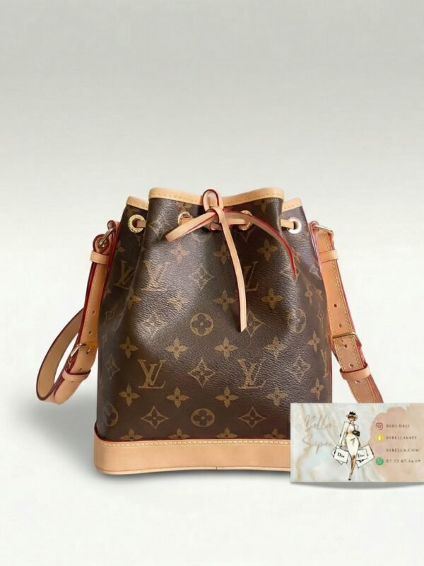 Sac Louis vuitton