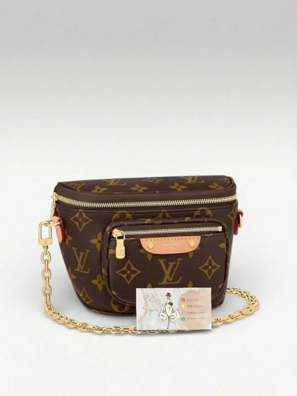 Sac Louis Vuitton