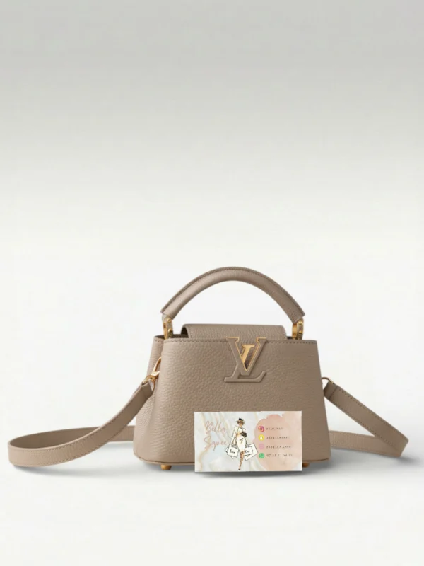 Sac Louis Vuitton Capucine