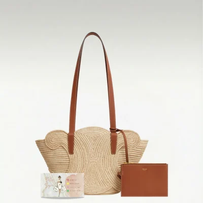 Sac Celine (1)