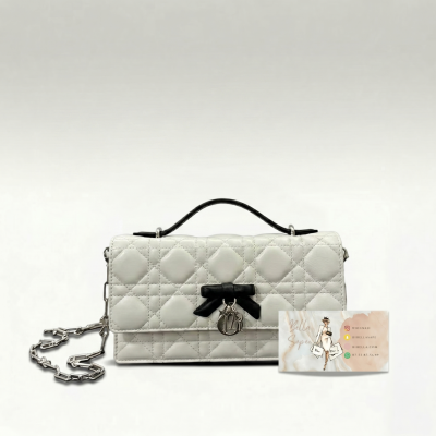 bsbs-mini-sac-dior-237-01